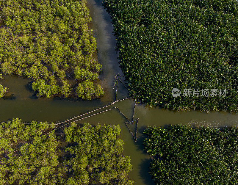 鸟瞰图Ru Cha红树林，顺化省